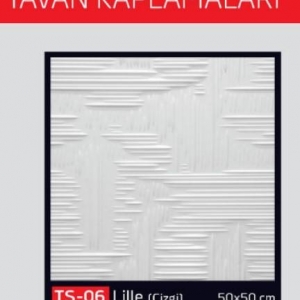 *POLSİS PT04 GEDİZ-ÇİZGİ 50*50 T.KAPLAMA 21 M2 1*84